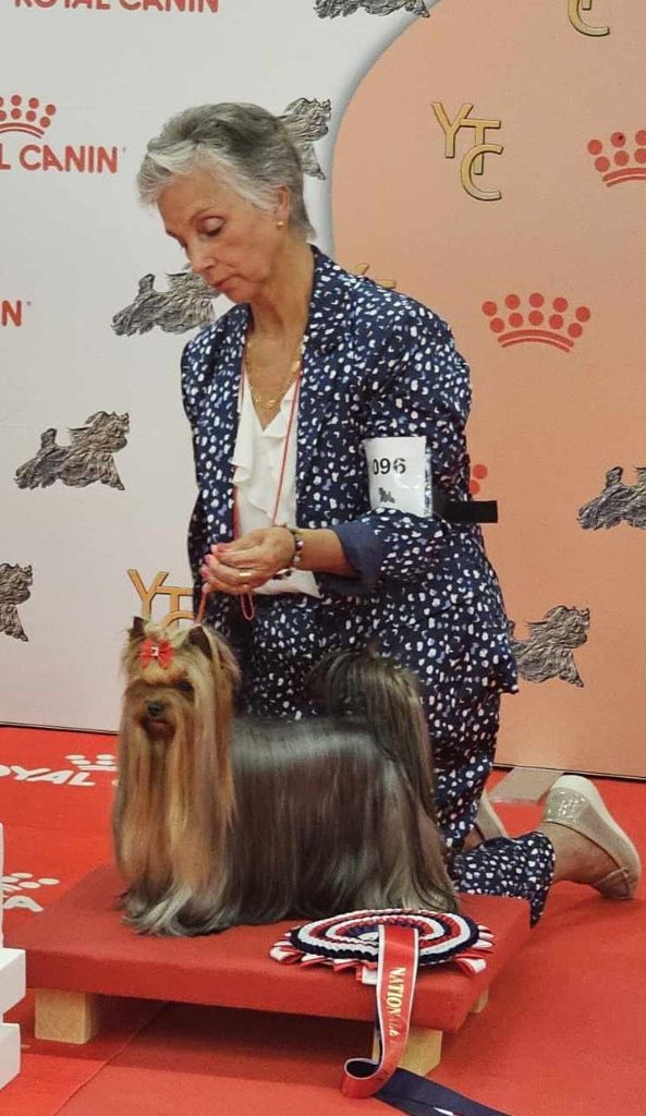 CH. Shaina du clos de faurilles