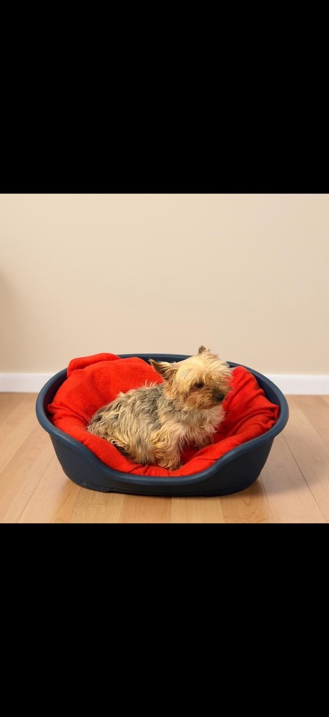 Pensee du Domaine De Daïkario